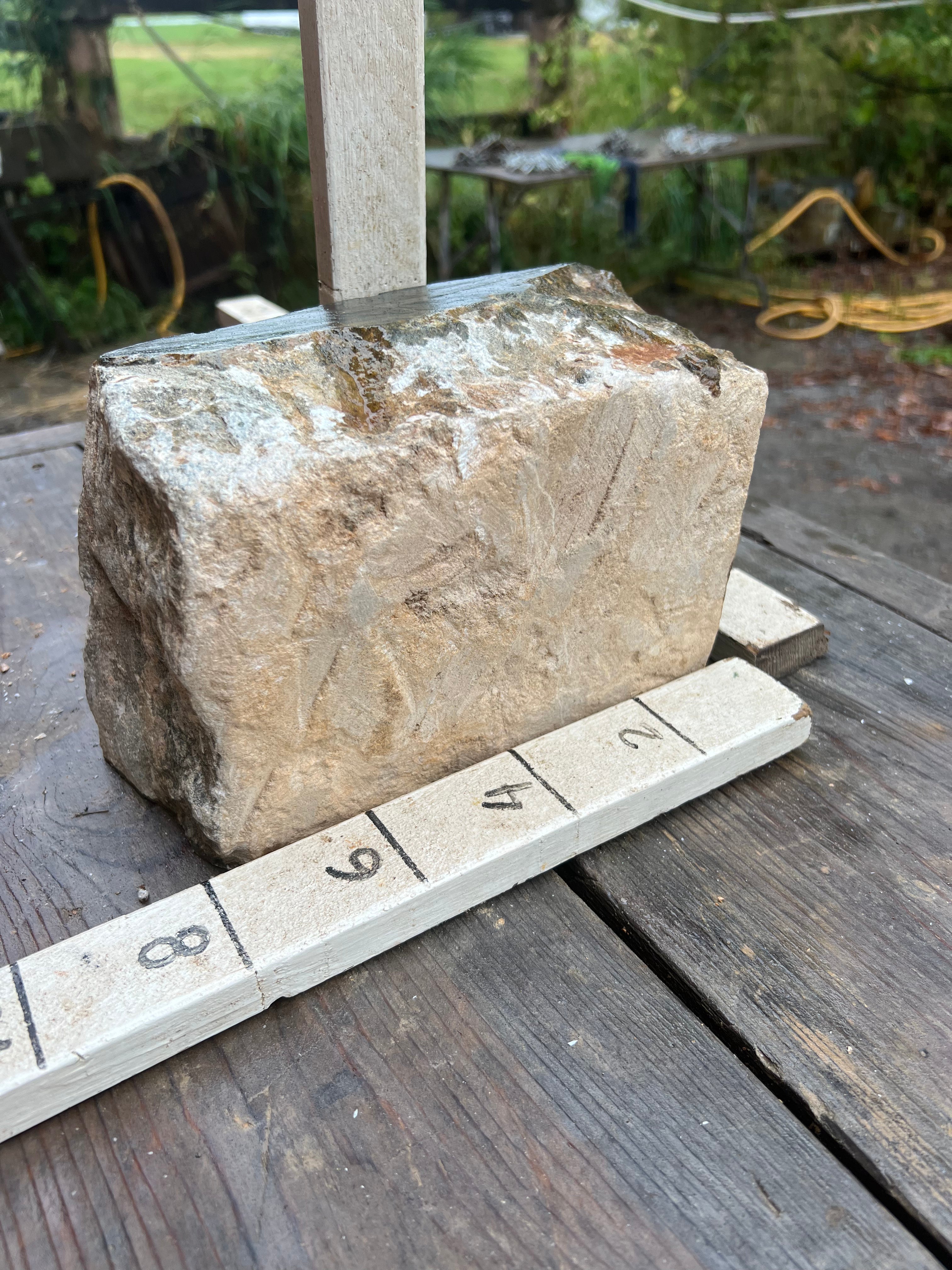 18lbs Brazilian Soapstone